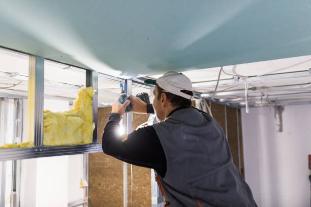 Best Commercial Insulation in Albany, GA