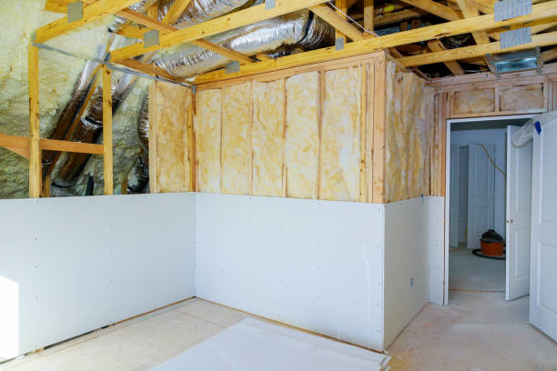 Best DIY Insulation Kits and Guidance in Albany, GA