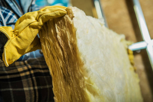 Best Energy Efficiency Insulation in Albany, GA