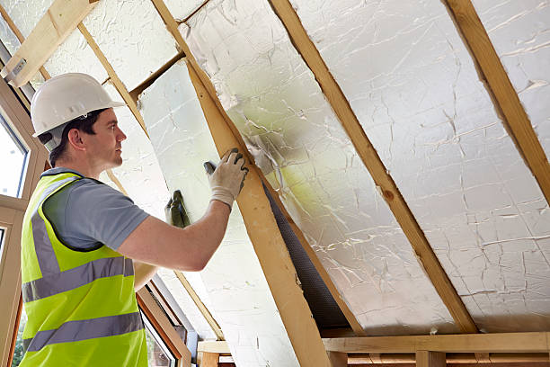 Best Residential Insulation in Albany, GA